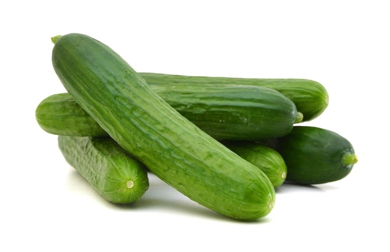 Cucumber Salmonella Update: 3 Dead, 558 Sick