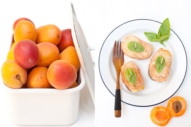 A Favorite Photograph