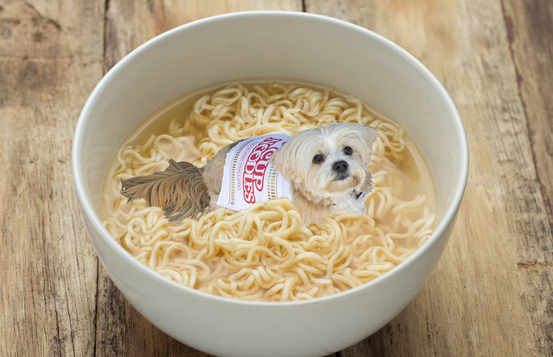 cup noodles dog costume