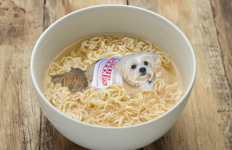 Cup Noodles Launched a Halloween Costume for Dogs