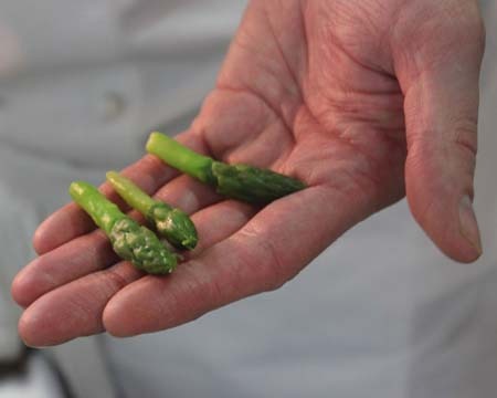 Step 2: Going the Extra Mile