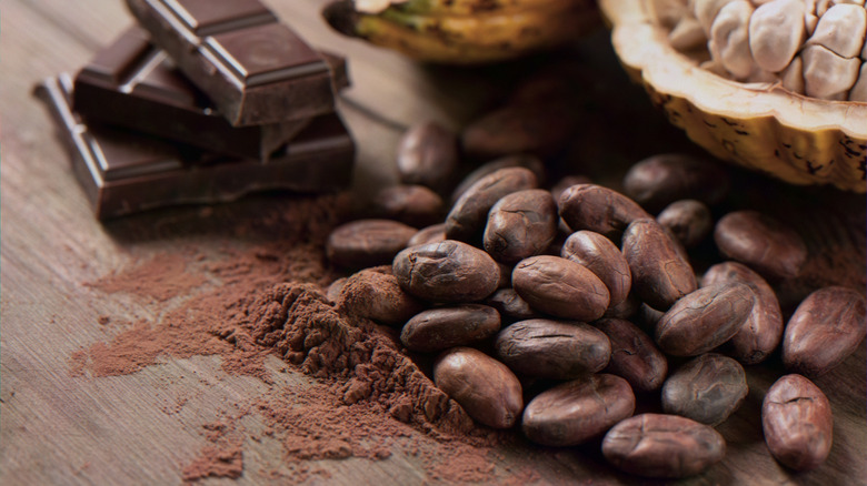 Closeup of cacao beans next to fresh cacao fruit and chocolate candy bar