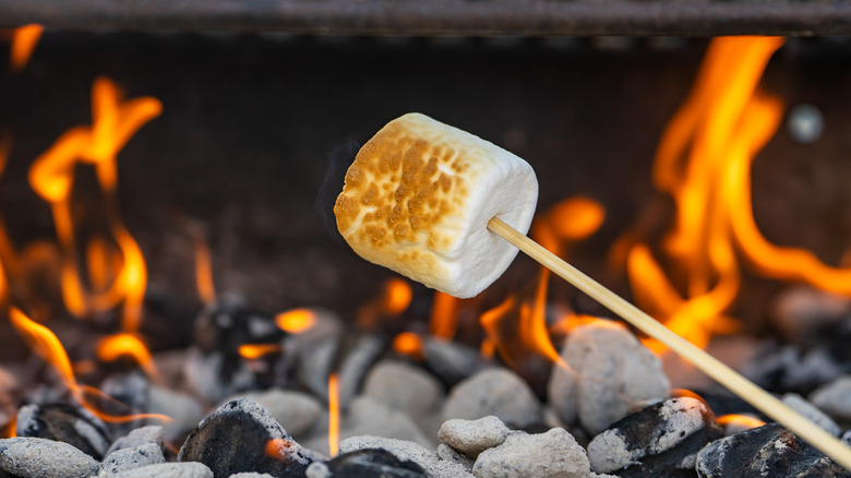 Marshmallow roasting over fire