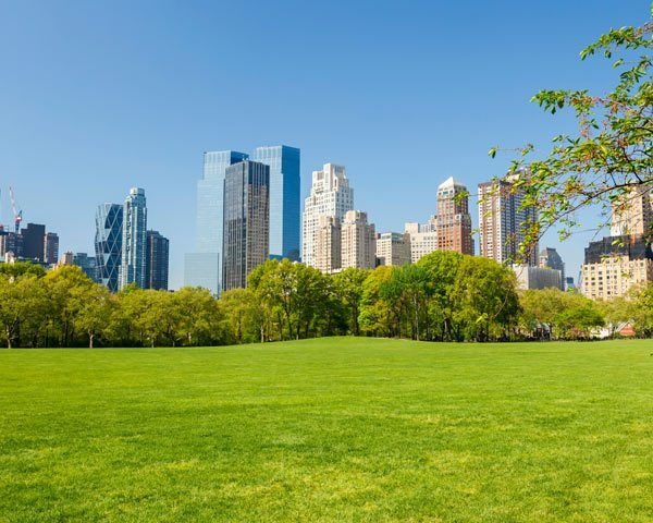 Delivery.com Launches Park Delivery! First Up, Central Park 