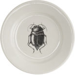 Bug Dinner Plates