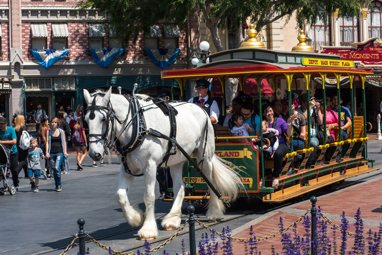 Horses on Main Street Have Special Shoes Meant to Be Louder