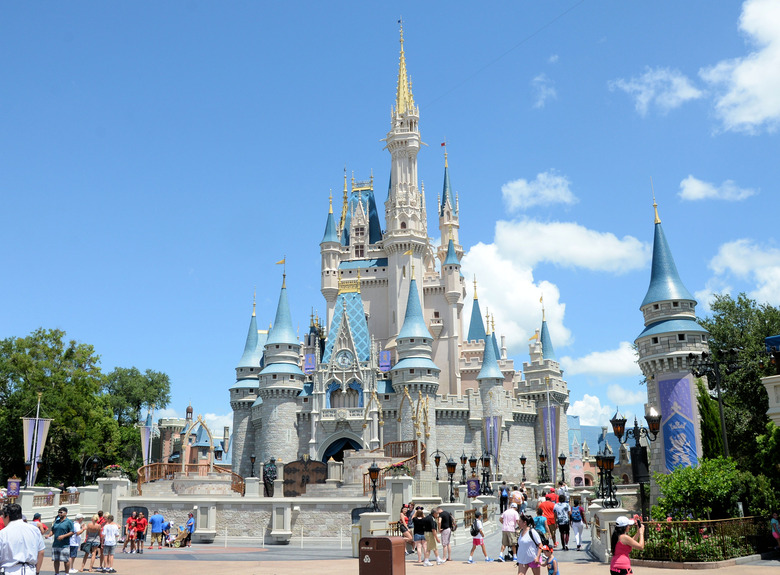 Cats Roam Disneyland for Mouse Control