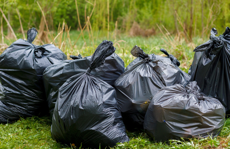 The Trash Empties Itself