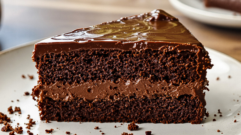 A plate of chocolate cake on a white plate