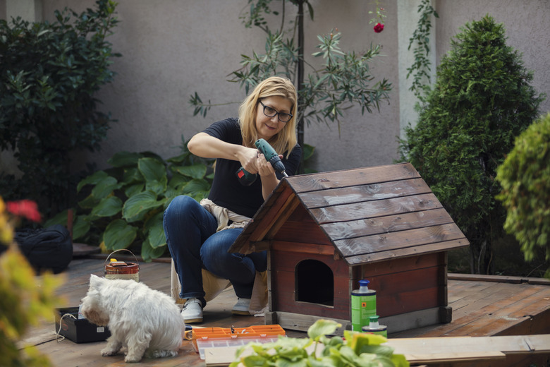 Backyard renovation ideas