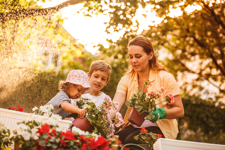 Budget garden inspiration ideas