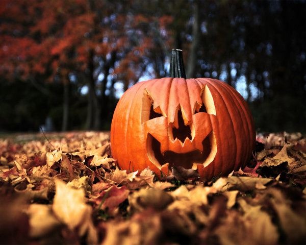 DIY Pumpkin Patterns