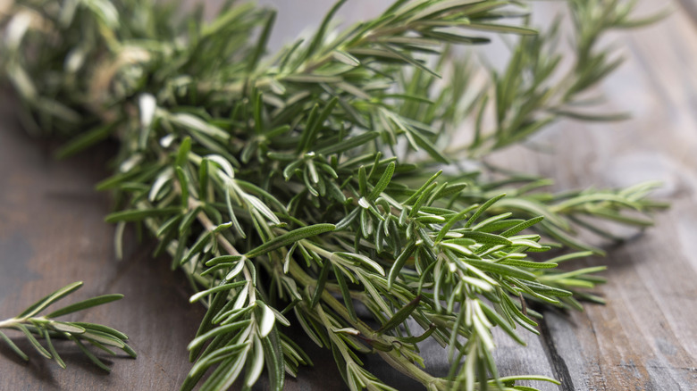 A bundle of fresh rosemary on a distressed wooden table