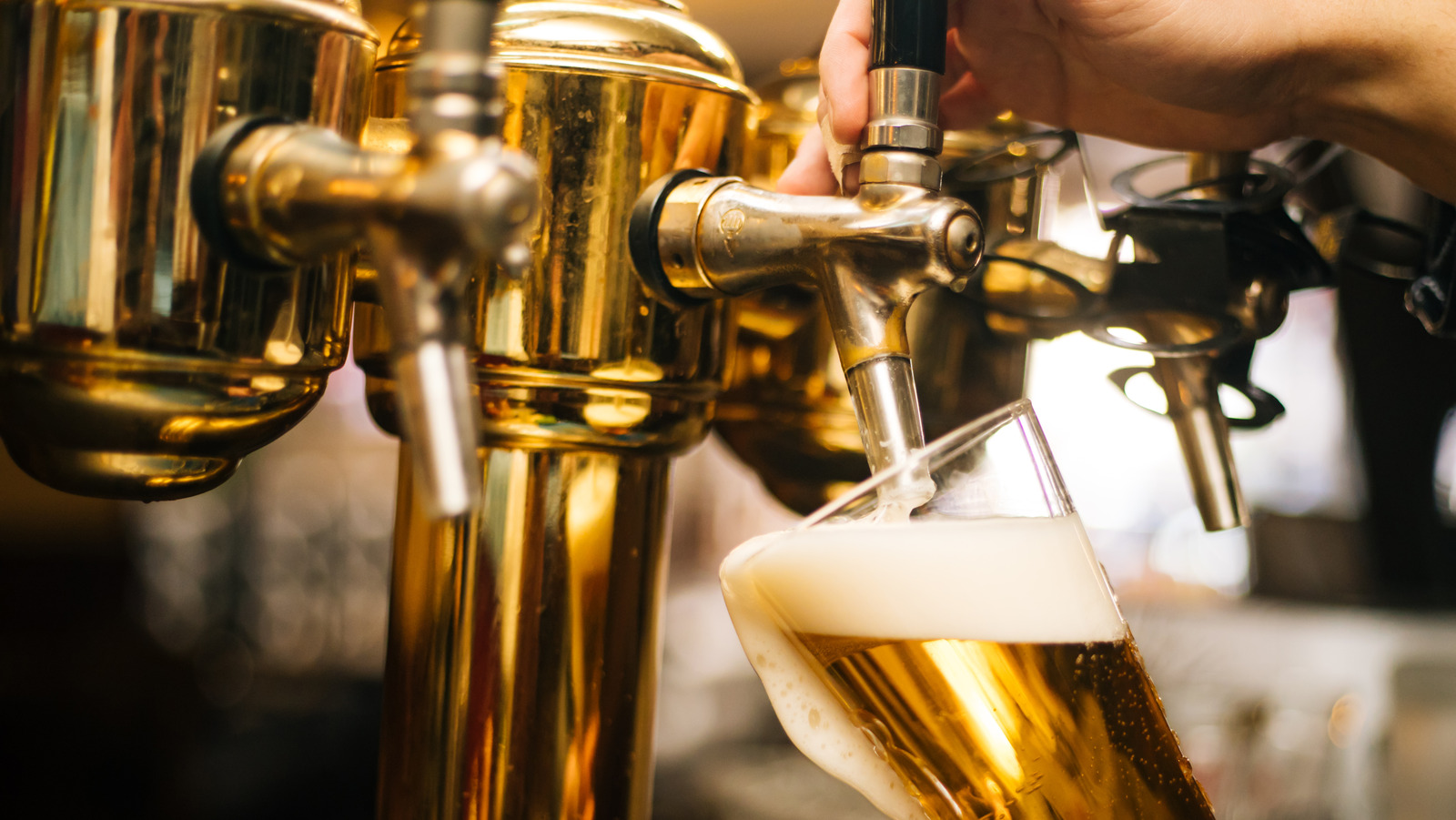 Aldi's Wicked Grove Cider Is An Obvious Angry Orchard Copycat The