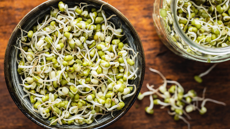 bowl of mung bean sprouts