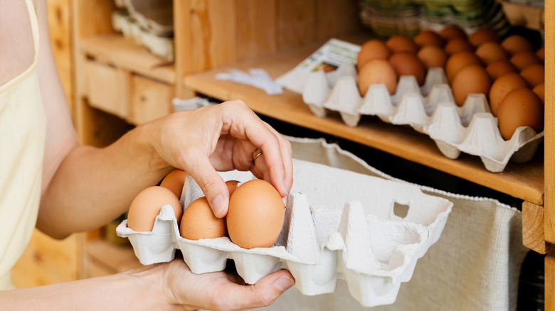 Hand placing eggs into a carton