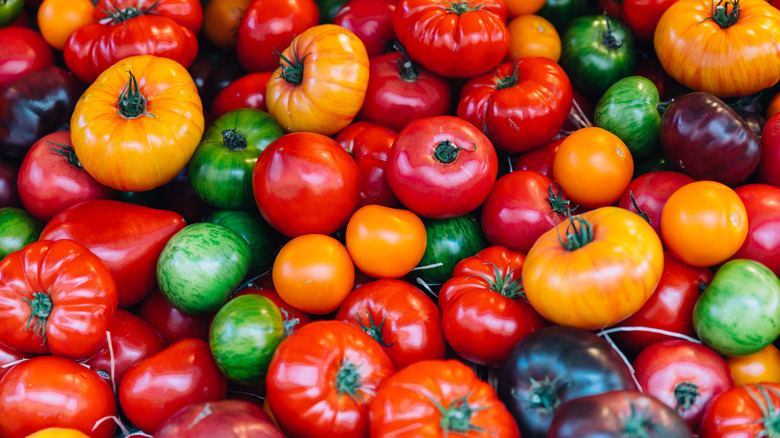 Different types and colors of tomatoes in a pile