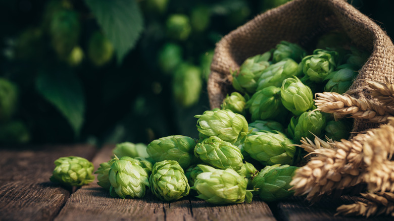 Hops and wheat on a wooden slab