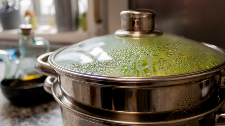 Steamer pot 
