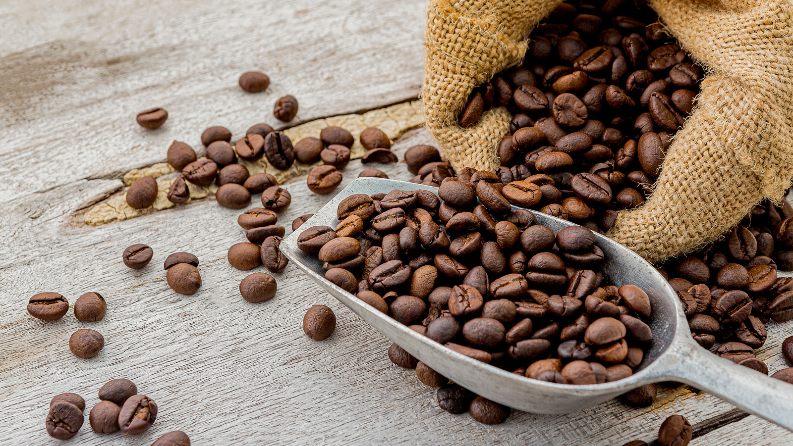Do Coffee Beans Go Bad? How to Store to Keep It Fresh