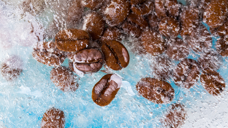 Frozen coffee beans