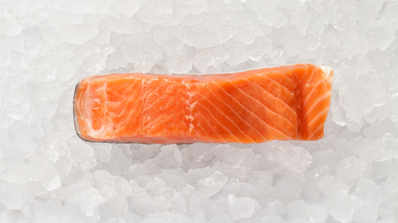 salmon filet on ice