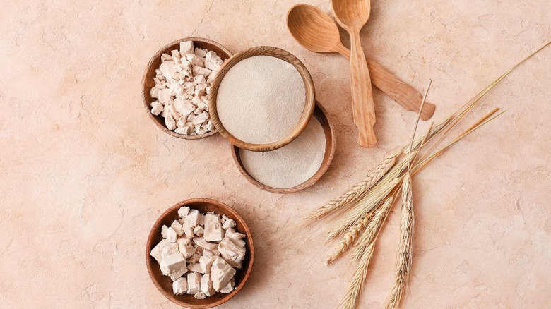 Fresh and dry yeast in wooden bowls 
