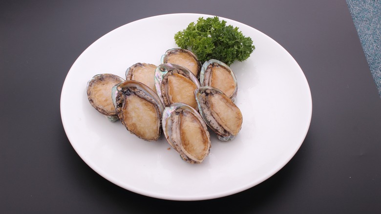 Abalone on plate