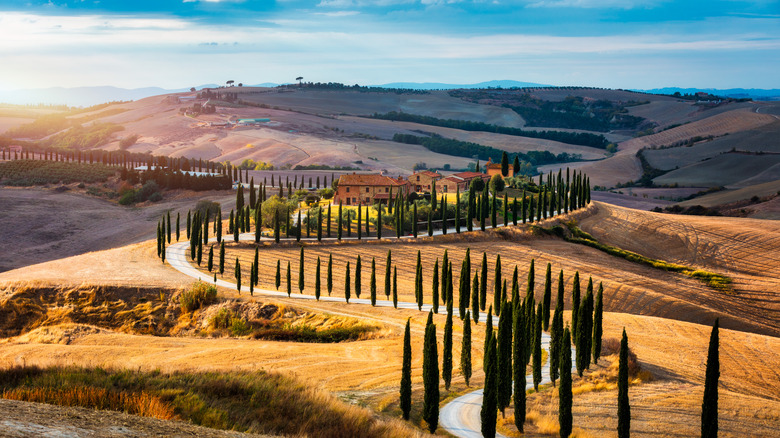 Tuscany landscape