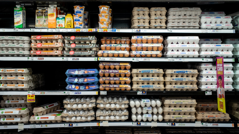 egg cartons on store shelves