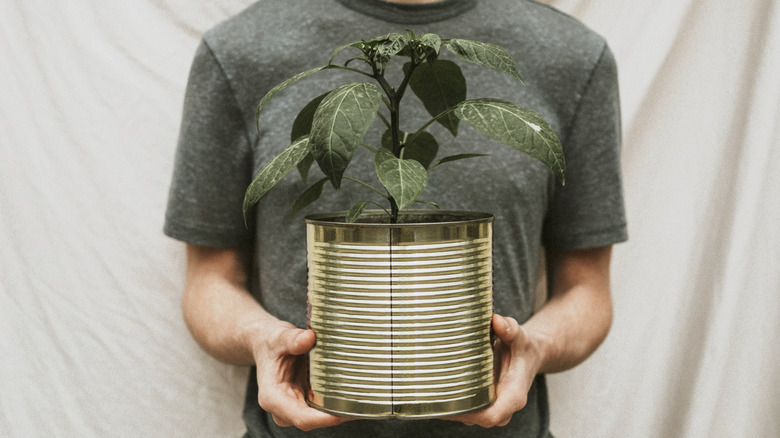 A man holding a metal coffee can with a plant in it.