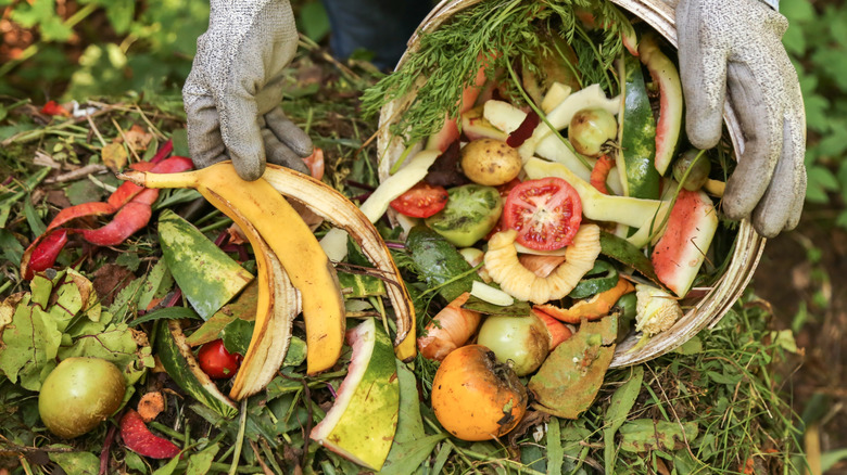 Person adding compost made of food scraps to garden