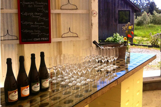 Heidrun Meidery Meads