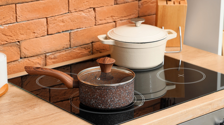 A saucepan and a Dutch oven on an induction stove