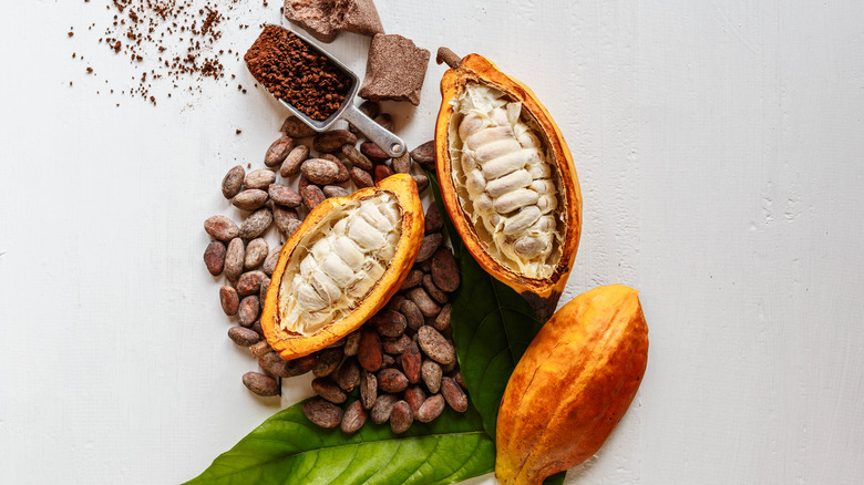 Cacao pods and cocoa beans