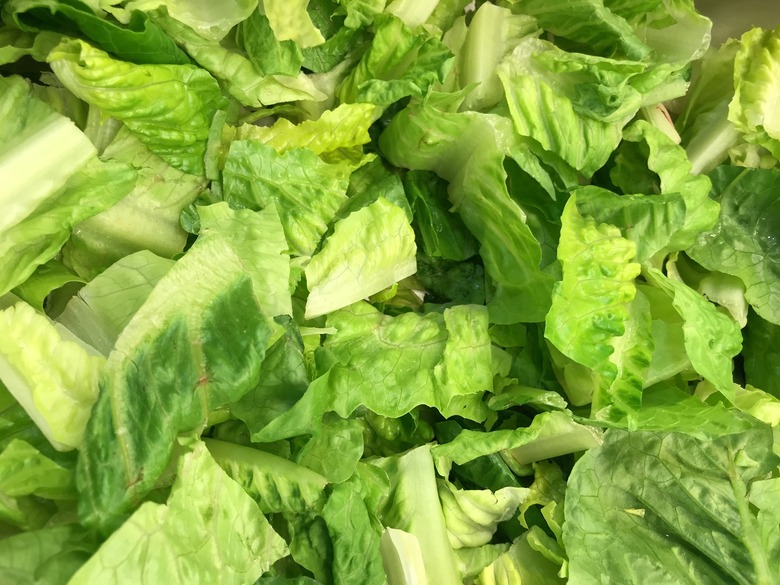 romaine lettuce e coli