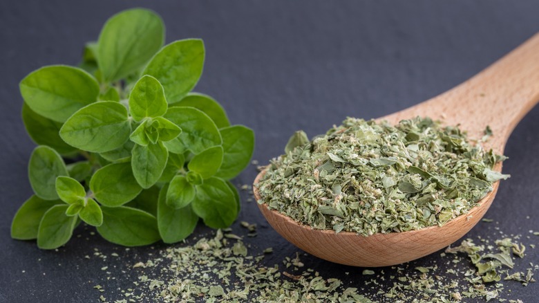 Oregano leaves and dried oregano