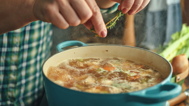chicken noodle soup with herbs
