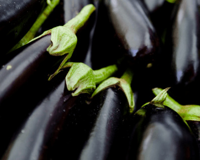 Eggplants headed for ratatouille