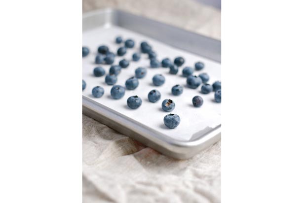 Stock up Your Freezer