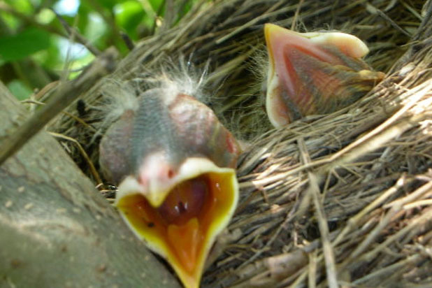 Don't Ever Go to a Party on an Empty Stomach