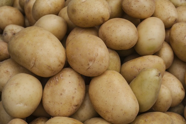 Eat This, Save the World: The 8 Eco-Friendliest Foods