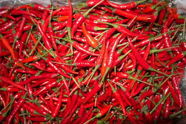 Chile Peppers