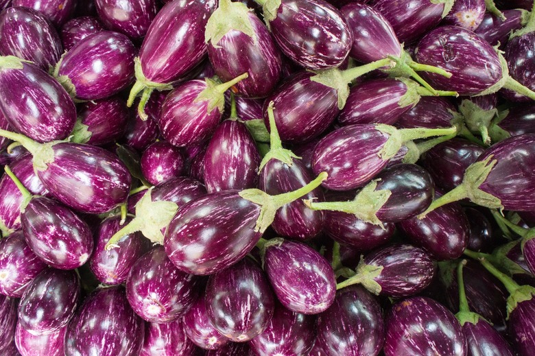 Eggplant is in Season We Have Recipes