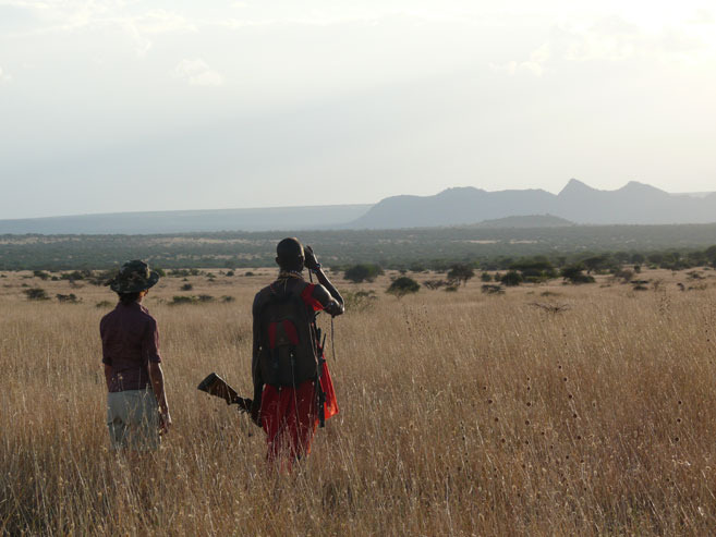 Touring With The Maasai Mara In Kenya