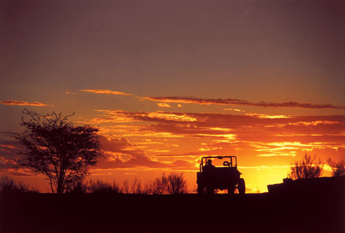 Wildlife Volunteering In South Africa