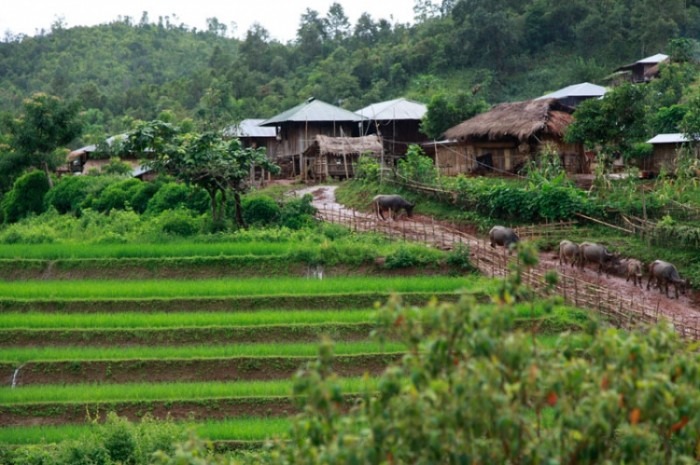 Student Volunteers In Thailand
