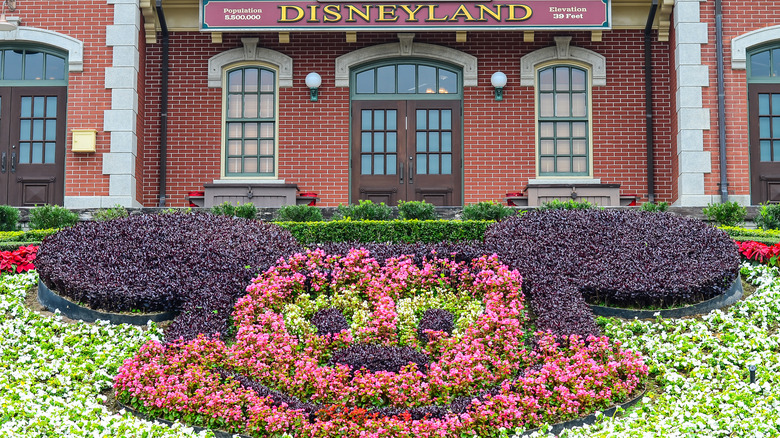 Mickey Mouse flower display at Disneyland 