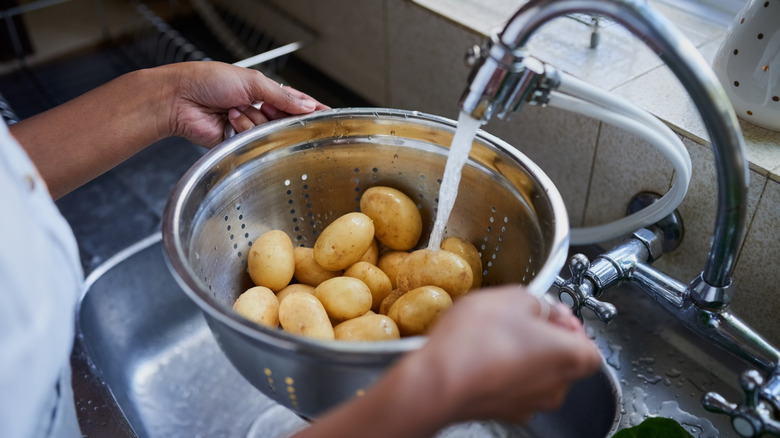 person rinsing potatoes in colander