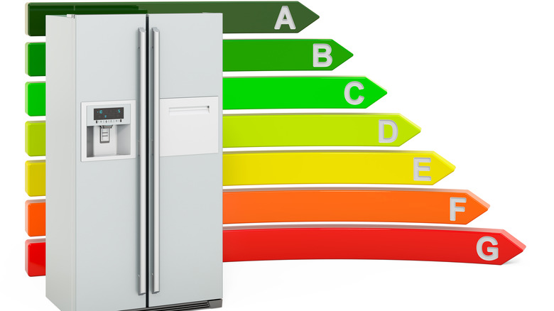 A 21st century refrigerator with parallel fridge and freezer and a water and ice dispenser on the freezer door with an energy efficiency label behind it